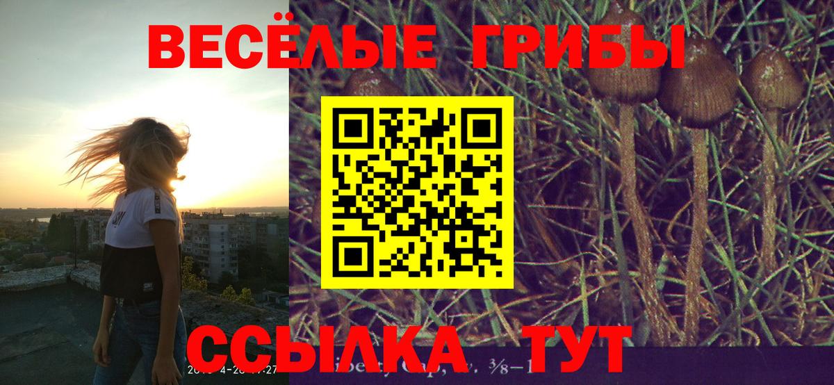 Галлюциногенные грибы ЛСД  наркошоп  Лесозаводск  Вход с VPN 